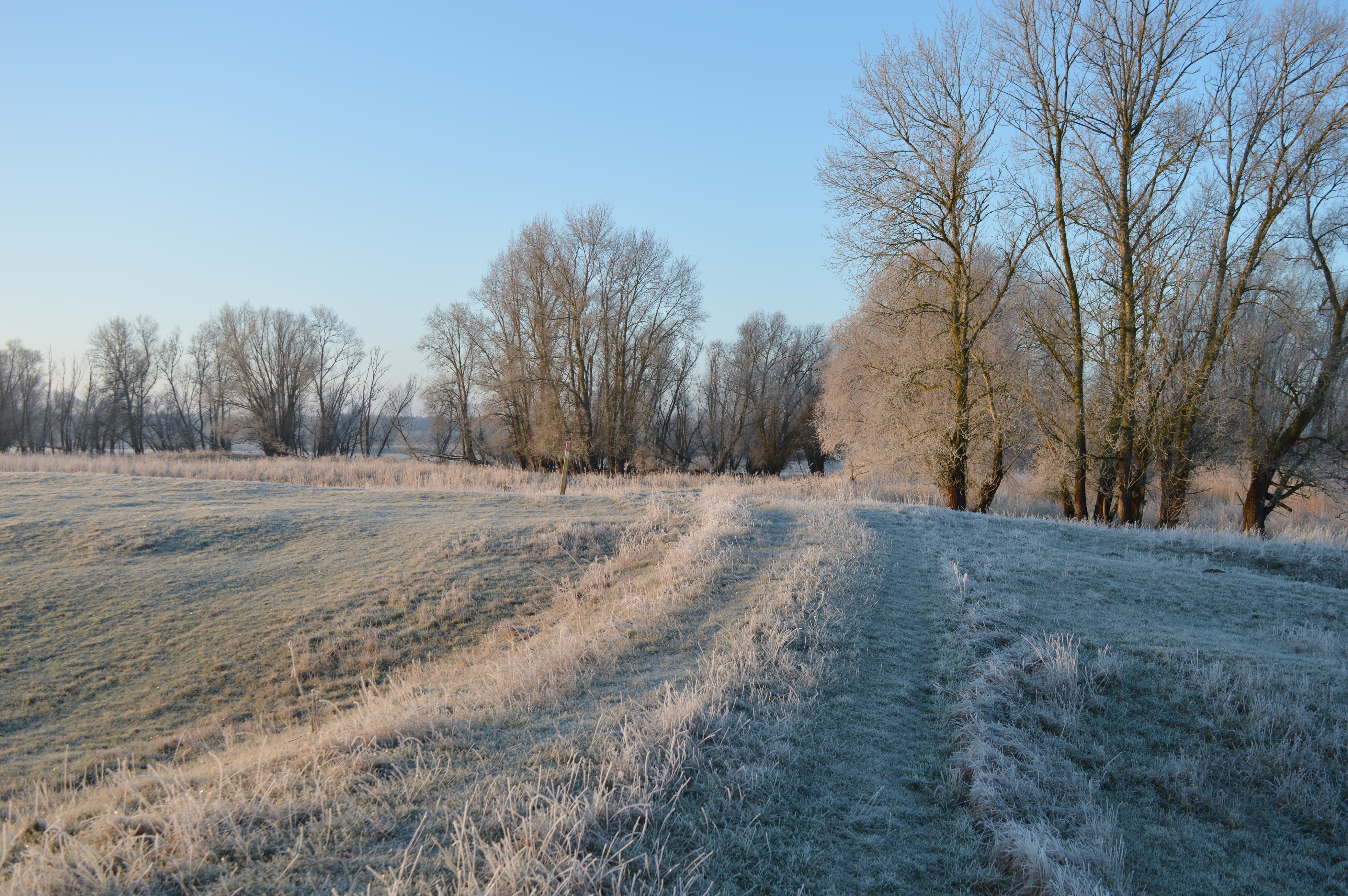 Deichweg